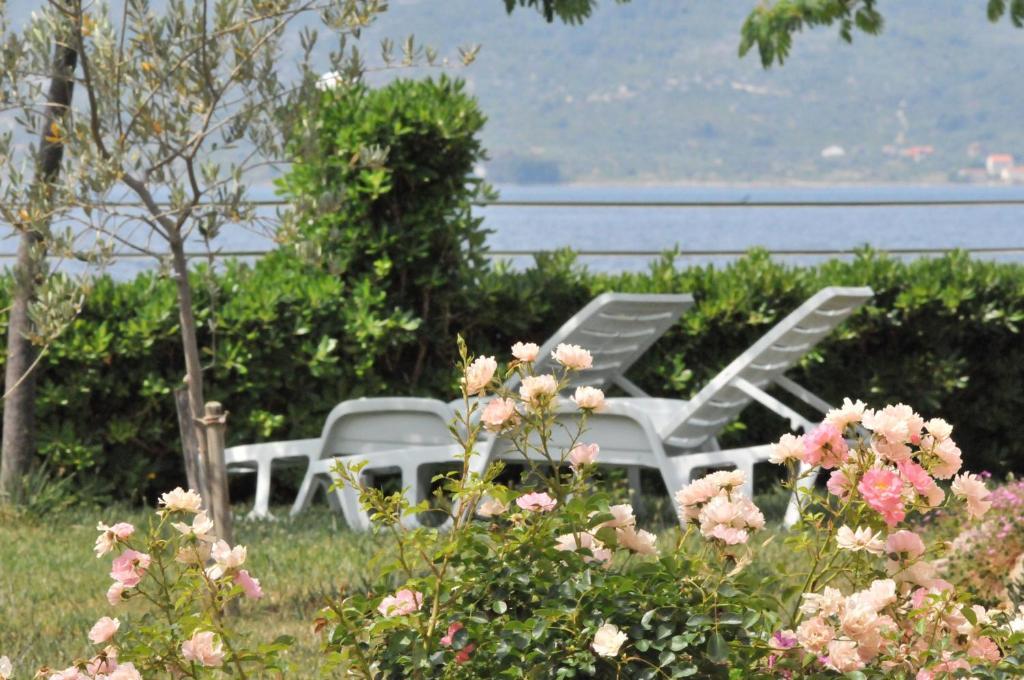 Apartments Esperanca Sveti Petar  Εξωτερικό φωτογραφία